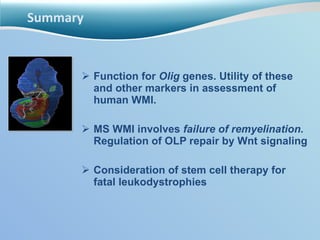 Summary <ul><li>Function for  Olig  genes. Utility of these and other markers in assessment of human WMI. </li></ul><ul><l...