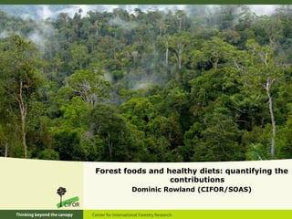 Forest foods and healthy diets: quantifying the
contributions
Dominic Rowland (CIFOR/SOAS)
 