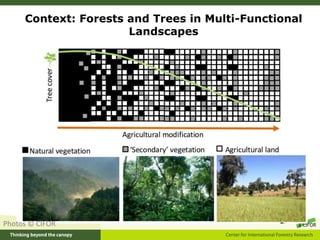 Context: Forests and Trees in Multi-Functional
Landscapes
Photos © CIFOR
 