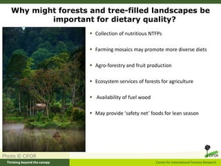 Why might forests and tree-filled landscapes be
important for dietary quality?
 Collection of nutritious NTFPs
 Farming ...