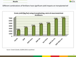 8
0
1000
2000
3000
4000
5000
6000
7000
2000
2927
3540
4250 4526
6260
6631
Grain yield (kg/ha) using transplanting, micro & macronutrient
fertilizers
Results
Source: Tareke & Zewdie, SG2000 (2010) unpublished
Different combinations of fertilizers have significant yield impacts on transplanted tef
 