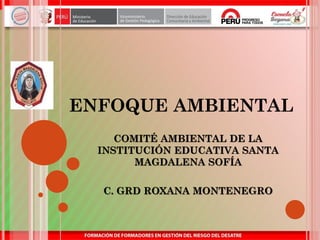 ENFOQUE AMBIENTAL
COMITÉ AMBIENTAL DE LA
INSTITUCIÓN EDUCATIVA SANTA
MAGDALENA SOFÍA
C. GRD ROXANA MONTENEGRO
 