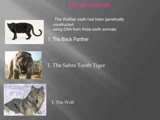          Donor Animals  The Wolther tooth had been genetically constructed                           using DNA from three earth animals:  1. The Black Panther1. The Sabre Tooth Tiger1. The Wolf