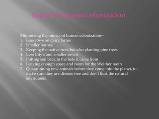 Impact of human colonizationMinimizing the impact of human colonization=Less cows on dairy farmsSmaller housesKeeping the native trees but also planting pine treesLess City's and smaller townsPutting soil back in the hole it came fromLeaving enough space and room for the Wolther toothQuarantining new animals before they come into the planet, to make sure they are disease free and don’t hurt the natural enviroment