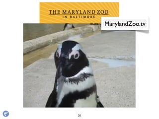 Over 4 million channel views
MarylandZoo.tv
20
 