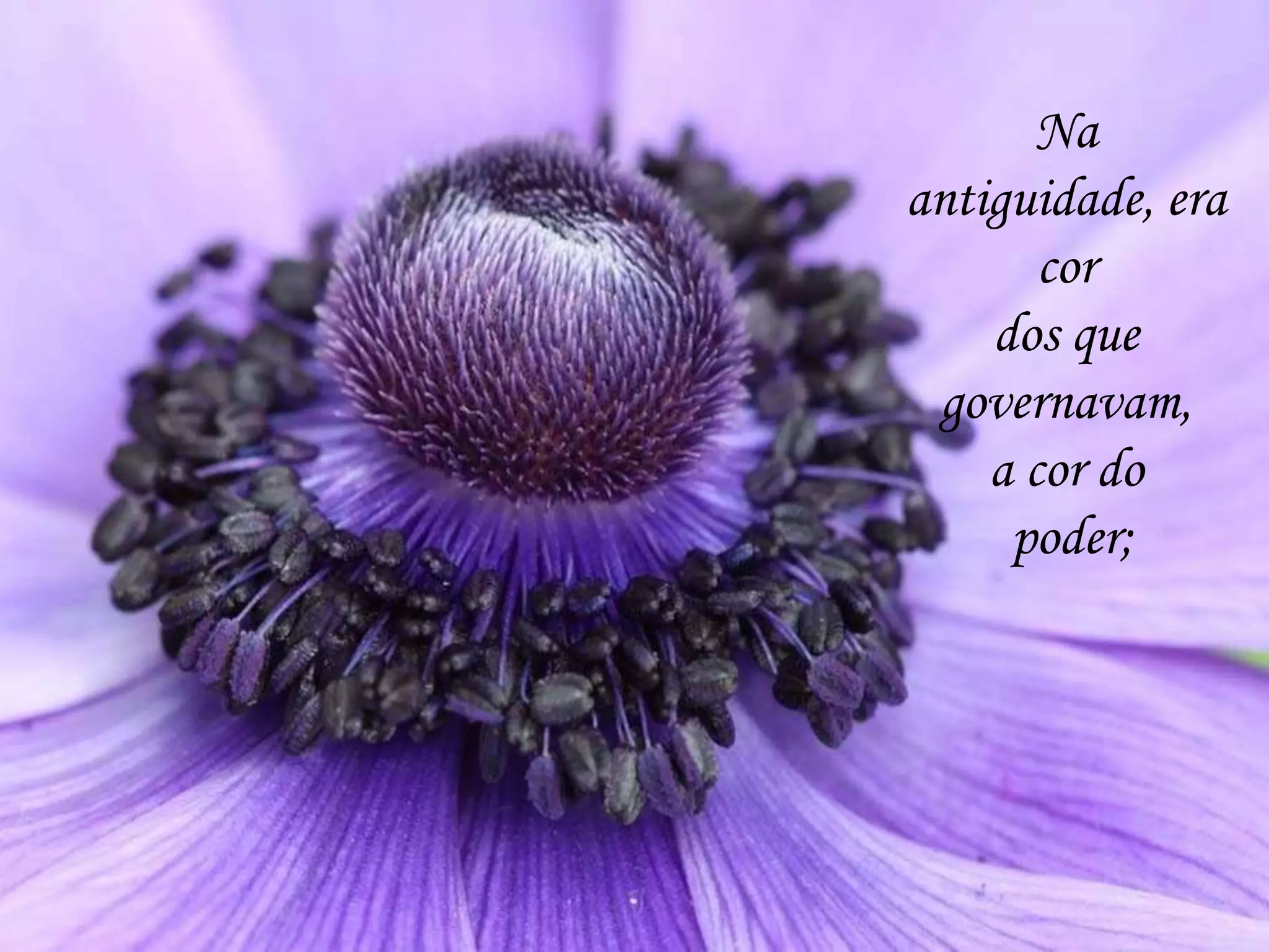 Na
antiguidade, era
cor
dos que
governavam,
a cor do
poder;
 