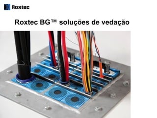 Roxtec BG™ soluções de vedação
 