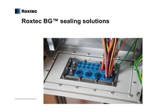 Roxtec BG™ sealing solutions
 