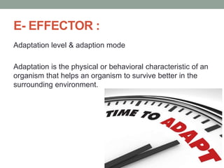 E- EFFECTOR :
Adaptation level & adaption mode
Adaptation is the physical or behavioral characteristic of an
organism that helps an organism to survive better in the
surrounding environment.
 