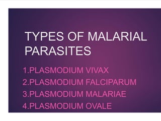TYPES OF MALARIAL
PARASITES
1.PLASMODIUM VIVAX
2.PLASMODIUM FALCIPARUM
3.PLASMODIUM MALARIAE
4.PLASMODIUM OVALE
 