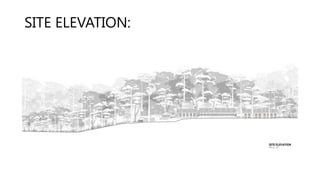 SITE ELEVATION:
 