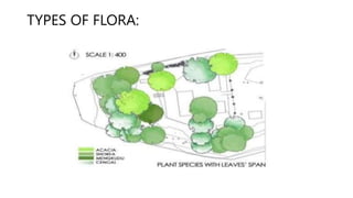 TYPES OF FLORA:
 