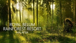 ROYAL BELUM
RAINFOREST RESORT
MALAYSIA
 