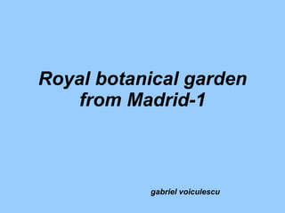 Royal botanical garden from Madrid-1 gabriel voiculescu 