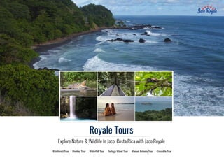 Royale Tours in Jaco Beach, Costa Rica