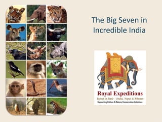 The Big Seven in
Incredible India
 