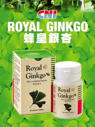 Royal Ginkgo