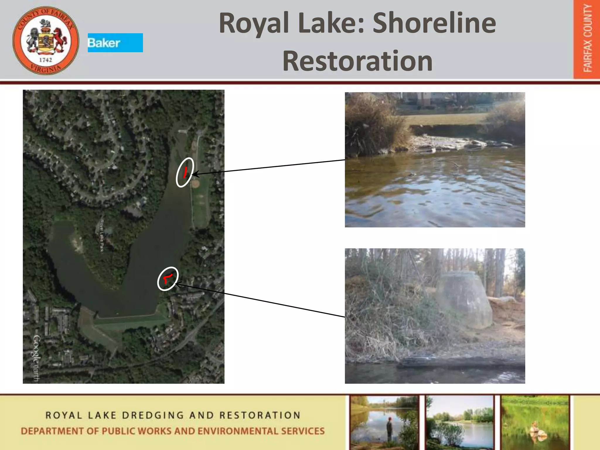 Royal Lake: Shoreline
Restoration
 