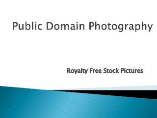 Royalty Free Stock Pictures
 