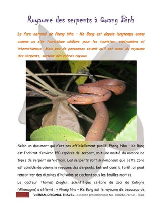 Royaume des serpents à Quang Binh
Le Parc national de Phong Nha – Ke Bang est depuis longtemps connu
comme un site touristique célèbre pour les touristes, vietnamiens et
internationaux. Mais peu de personnes savent qu’il est aussi du royaume
des serpents, surtout des cobras royaux.

Selon un document qui n’est pas officiellement publié, Phong Nha – Ke Bang
est l’habitat d’environ 150 espèces de serpent, soit une moitié du nombre de
types de serpent au Vietnam. Les serpents sont si nombreux que cette zone
est considérée comme le royaume des serpents. Entrant dans la forêt, on peut
rencontrer des dizaines d’individus se cachant sous les feuilles mortes.
Le docteur Thomas Ziegler, scientifique célèbre du zoo de Cologne
(Allemagne) a affirmé : « Phong Nha – Ke Bang est le royaume de beaucoup de
1

VIETNAM ORIGINAL TRAVEL – Licence professionnelle No : 01024/GPLHQT – TCDL

 