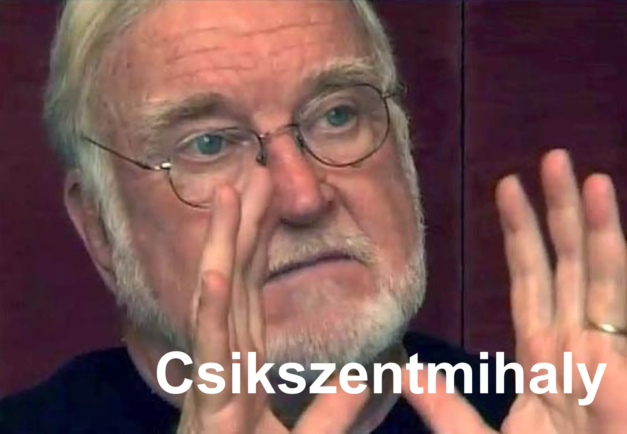 Csikszentmihaly 