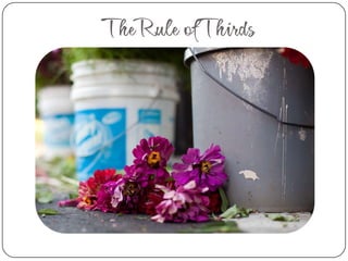 The Rule of Thirds
