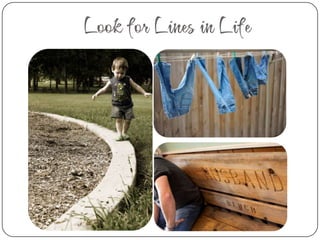 Look for Lines in Life