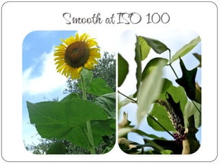 Oh No, Photo Faux Pas:Don’t over prop; simplicity is key