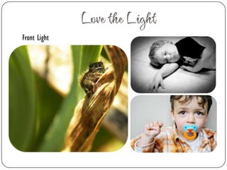 Aperture: Shallow Depth of Field