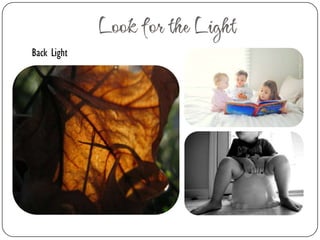   Aperture: Wide Depth of Field	