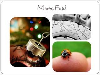 You Can Find The LightSide Light