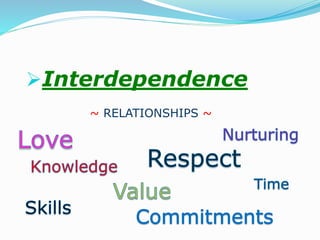 Interdependence
~ RELATIONSHIPS ~
 