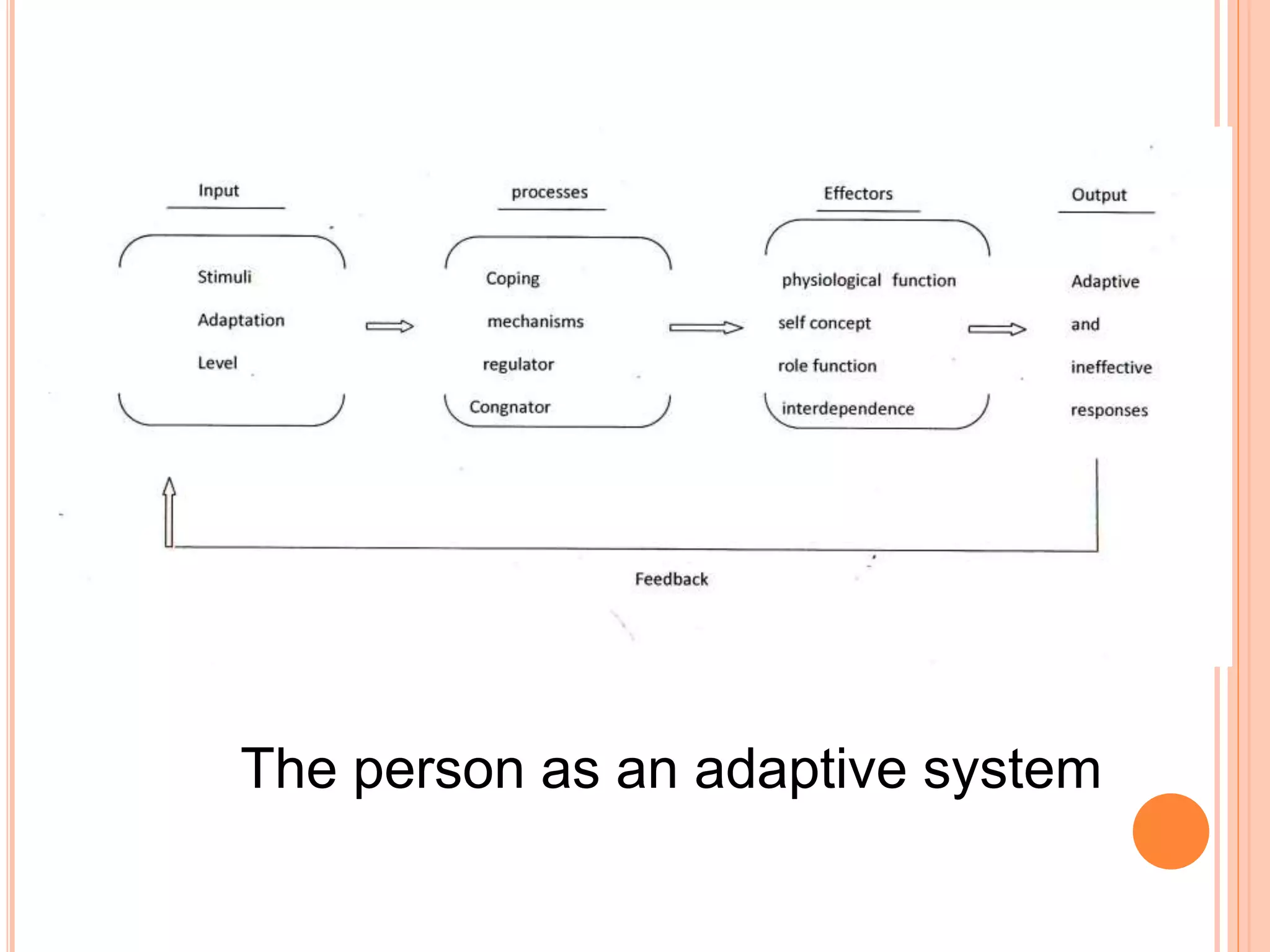 The person as an adaptive system
 