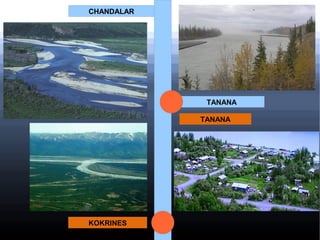 CHANDALAR

TANANA
TANANA

KOKRINES

 