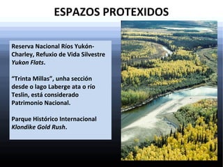 ESPAZOS PROTEXIDOS
Reserva Nacional Ríos YukónCharley, Refuxio de Vida Silvestre
Yukon Flats.
“Trinta Millas”, unha sección
desde o lago Laberge ata o río
Teslin, está considerado
Patrimonio Nacional.
Parque Histórico Internacional
Klondike Gold Rush.

 