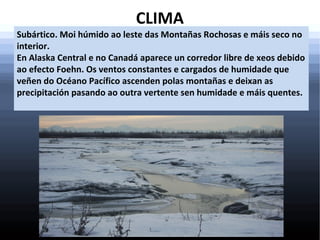 CLIMA

Subártico. Moi húmido ao leste das Montañas Rochosas e máis seco no
interior.
En Alaska Central e no Canadá aparece un corredor libre de xeos debido
ao efecto Foehn. Os ventos constantes e cargados de humidade que
veñen do Océano Pacífico ascenden polas montañas e deixan as
precipitación pasando ao outra vertente sen humidade e máis quentes.

 