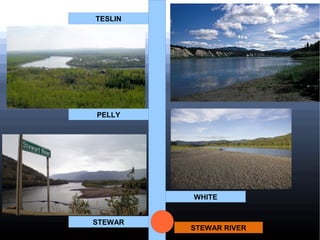 TESLIN

PELLY

WHITE
STEWAR

STEWAR RIVER

 