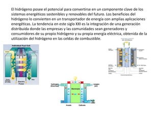 El hidrógeno posee el potencial para convertirse en un componente clave de los sistemas energéticos sostenibles y renovables del futuro. Los beneficios del hidrógeno lo convierten en un transportador de energía con amplias aplicaciones energéticas. La tendencia en este siglo XXI es la integración de una generación distribuida donde las empresas y las comunidades sean generadores y consumidores de su propio hidrógeno y su propia energía eléctrica, obtenida de la utilización del hidrógeno en las celdas de combustible.