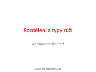 Rozdělení a typy růží Kompletní přehled www.prodejstromku.cz 