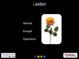 Leiden
Warmte
Energie
Optimisme
 