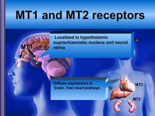 MT1
MT2
MT2
MT2
MT2
• Localized in hypothalamic
suprachiasmatic nucleus and neural
retina
•Diffuse expression in
brain, liver,heart,kidneys
MT1 and MT2 receptors
 