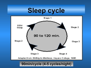 Sleep cycle
90min/cycle (4-5 cycles/night)
 