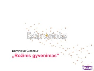 Dominique Glocheur
„Rožinis gyvenimas“
 