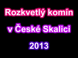 Rozkvetlý komín
v České Skalici
2013
 