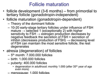 Follicle maturation
• follicle development (3-6 months) – from primordial to
tertiary follicle (gonadotropin-independent)
• follicle maturation (gonadotropin-dependent)
– Theory of the dominant follicle
– 10-20 early-stage tertiary follicles under influence of FSH
mature → selected 1 (exceptionally 2) with higher
sensitivity to FSH → estrogen production decreases by
negative feedback the secretion of FSH + secretion of
inhibin (decreases production of FSH) → decreasing level
of FSH can maintain the most sensitive follicle, the rest
degenerates
• atresia (degeneration) of follicles
– 5th month: 7.000.000 follicles
– birth: 1.000.000 follicles
– puberty: 400.000 follicles
• degeneration in adulthood: monthly 1.000 (after 35th year of age
even more)
– menopause: 1.000 follicles
 