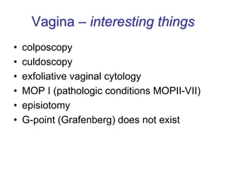 Vagina – interesting things
• colposcopy
• culdoscopy
• exfoliative vaginal cytology
• MOP I (pathologic conditions MOPII-VII)
• episiotomy
• G-point (Grafenberg) does not exist
 