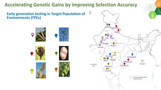 Vijayapura
Dharwad
Jaipur
Ludhiana
Sehore
Rahuri
Palanpur
Raniwada
Jodhpur
Bhubaneswar
Badnapur
Parbhani
Akola
Vizianagaram
Peddapuram
Ranichauri
Almora
Alwar
Early generation testing in Target Population of
Environments (TPEs)
Accelerating Genetic Gains by improving Selection Accuracy
 