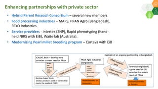 Enhancing partnerships with private sector
• Hybrid Parent Reseach Consortium – several new members
• Food processing industries – MARS, PRAN Agro (Bangladesh),
FRYO Industries
• Service providers - Intertek (SNP), Rapid phenotyping (hand-
held NIRS with EiB), Waite lab (Australia).
• Modernizing Pearl millet breeding program – Corteva with EiB
 