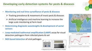 Developing early detection systems for pests & diseases
F. oxysporum f sp. ciceris & R. bataticola in chickpea
• Monitoring and real time surveillance of pests & diseases
 Tracking prevalence & movement of insect pests & diseases
 Artificial intelligence and machine learning to increase the
large scale monitoring at farm-level
• Determining diagnostic wavelengths & development of aerial
sensors
• Loop mediated isothermal amplification (LAMP) assay for visual
detection pathogens from infected plants & soil
• NGS based detection of viral pathogen
Fall armyworm affected area around
the Globe as on 31st Dec 2018
 