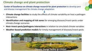 Climate change and plant protection
• Climate change facilities to study the effects of climate variability on host x pathogen
interactions
• Identification and mapping of risk zones for emerging diseases/insect-pests under
climate change scenarios
• Host–insect-pests/pathogens interactions in relation to simulated climate variables
• Weather-based prediction models for timely management of diseases/insect-pests
Center of Excellence on climate change research for plant protection to develop pest
and disease management for climate change adaptation
Climate change facility @ ICRISAT
 